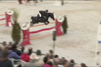 Fédération Française d’Equitation Fédération Française d’Equitation